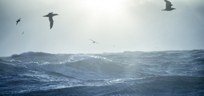 Out in a rough North Sea