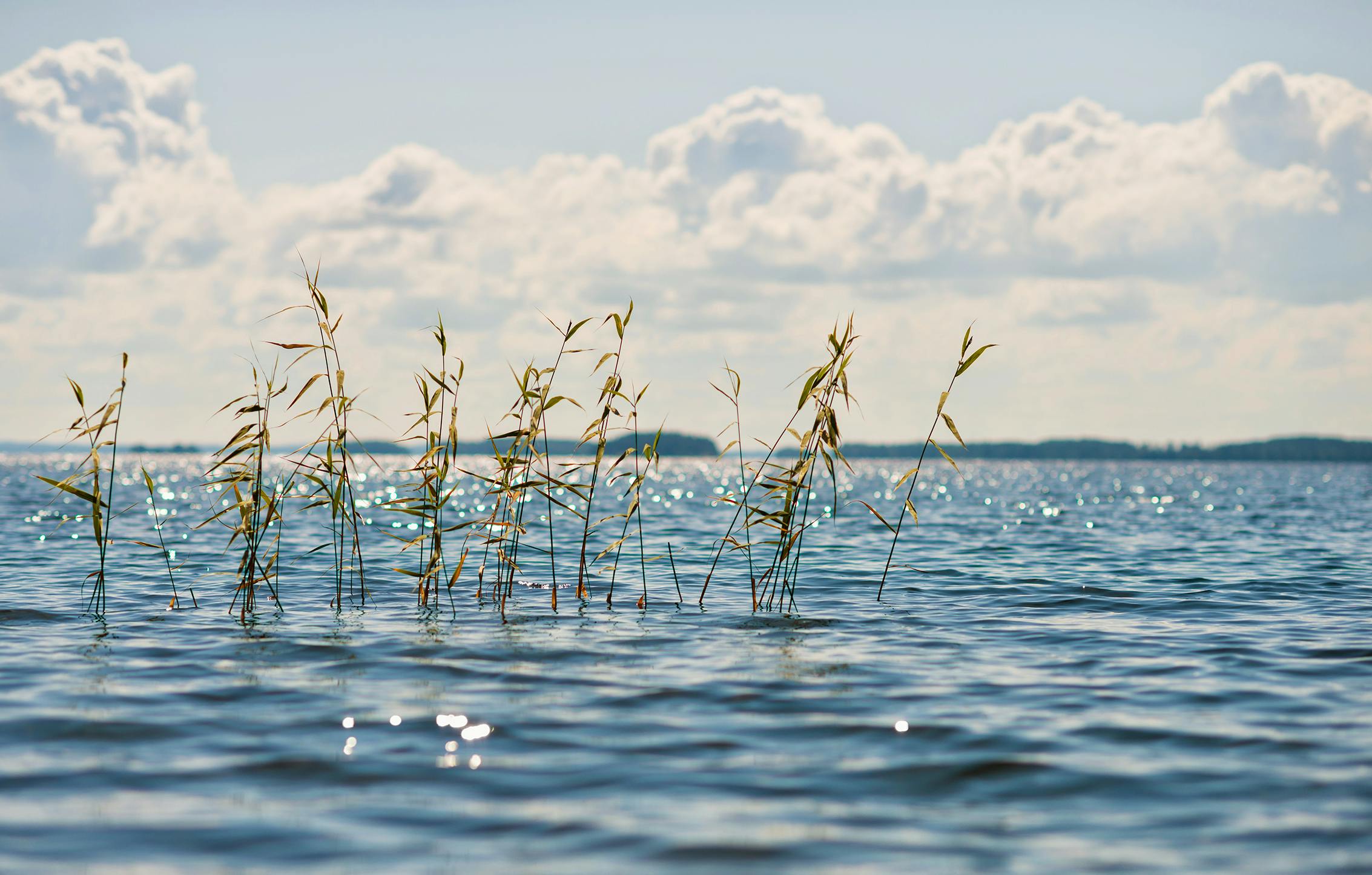 shutterstock_1826749541_small